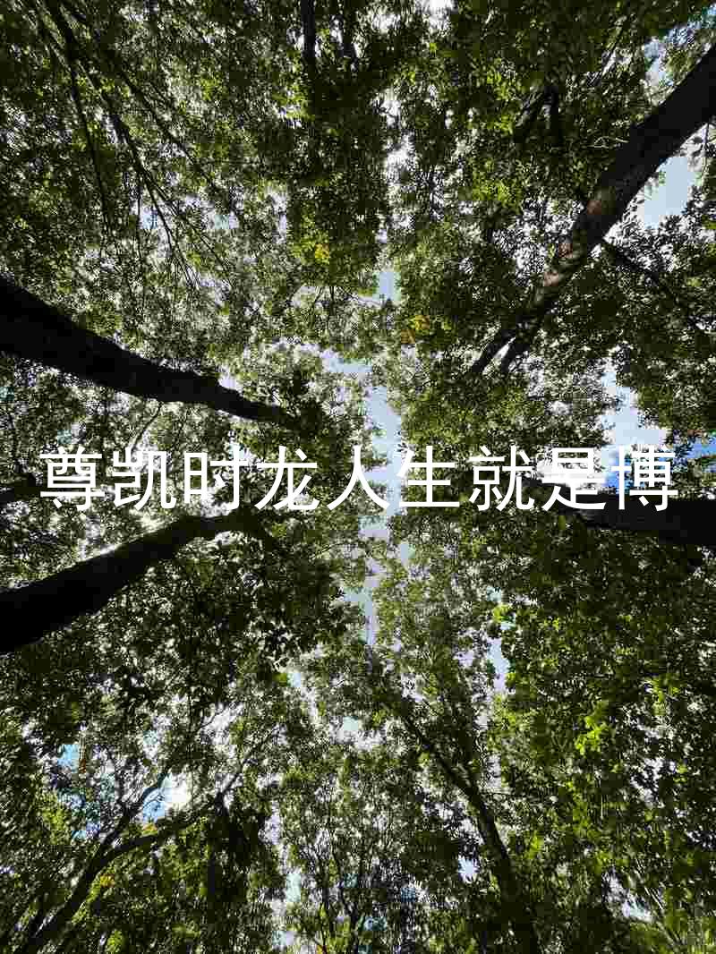 尊凯时龙人生就是博