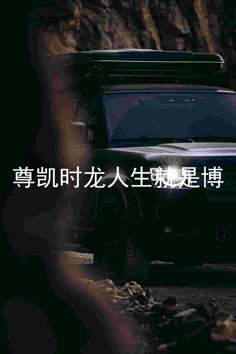 尊凯时龙人生就是博