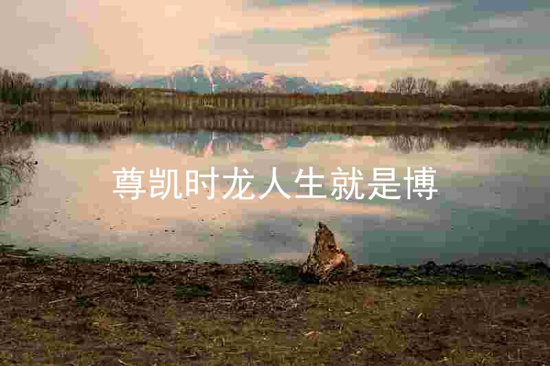 尊凯时龙人生就是博