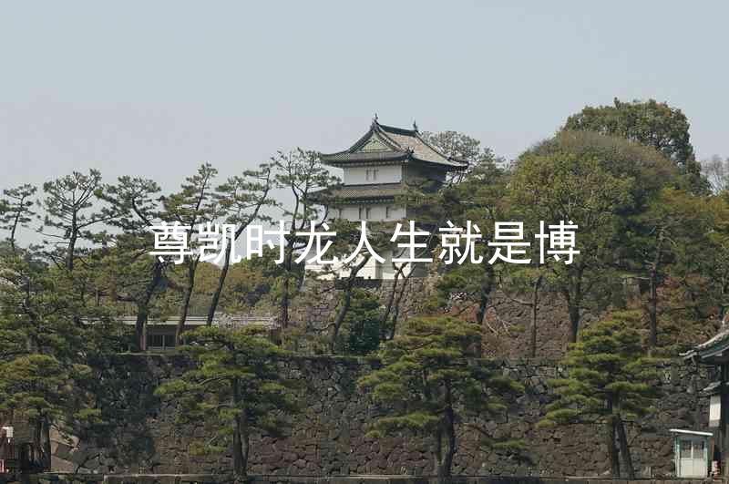 尊凯时龙人生就是博