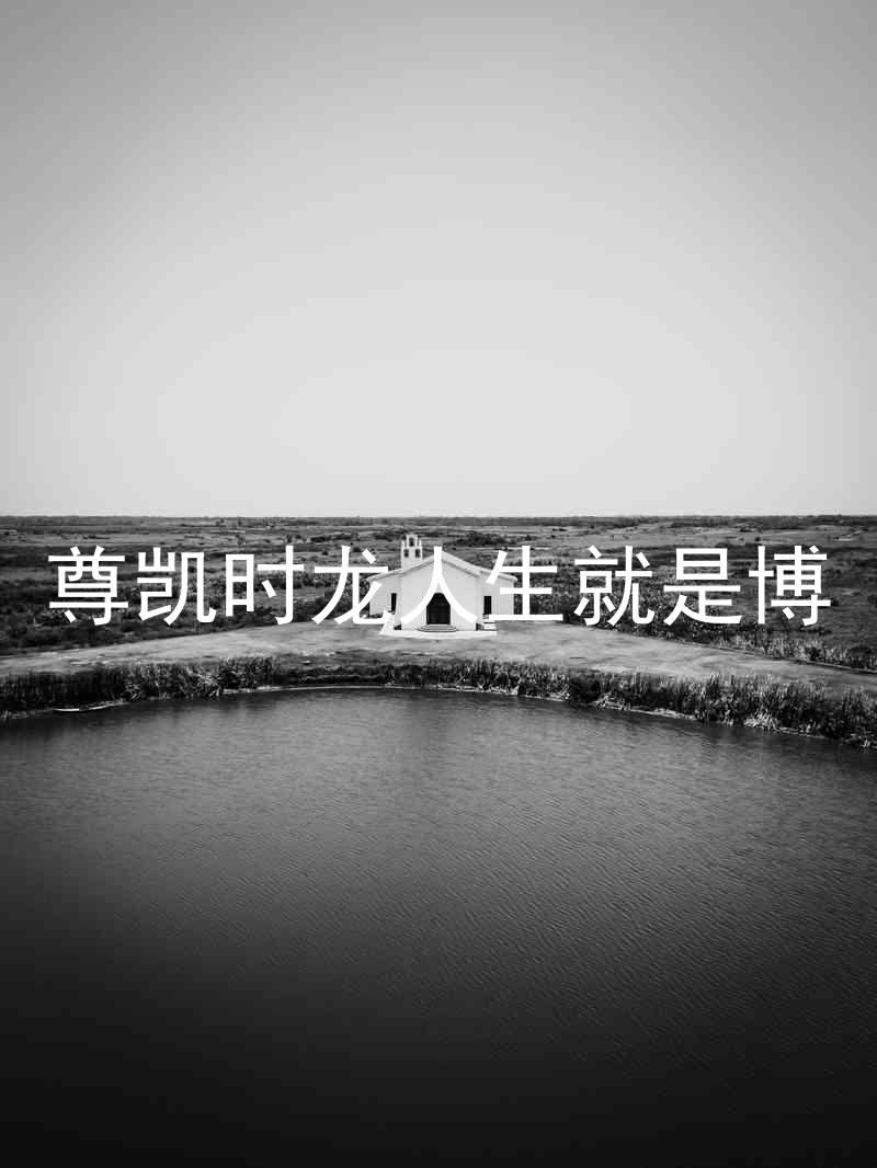 尊凯时龙人生就是博